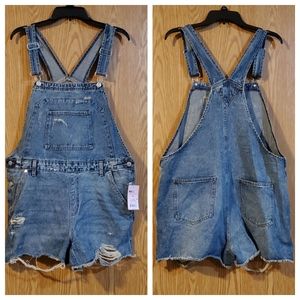 NWT Wild Fable overall shorts